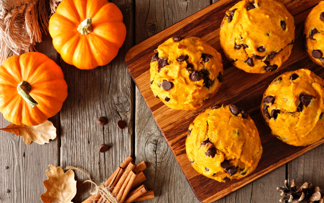 Pumpkin Chocolate Chip Muffins