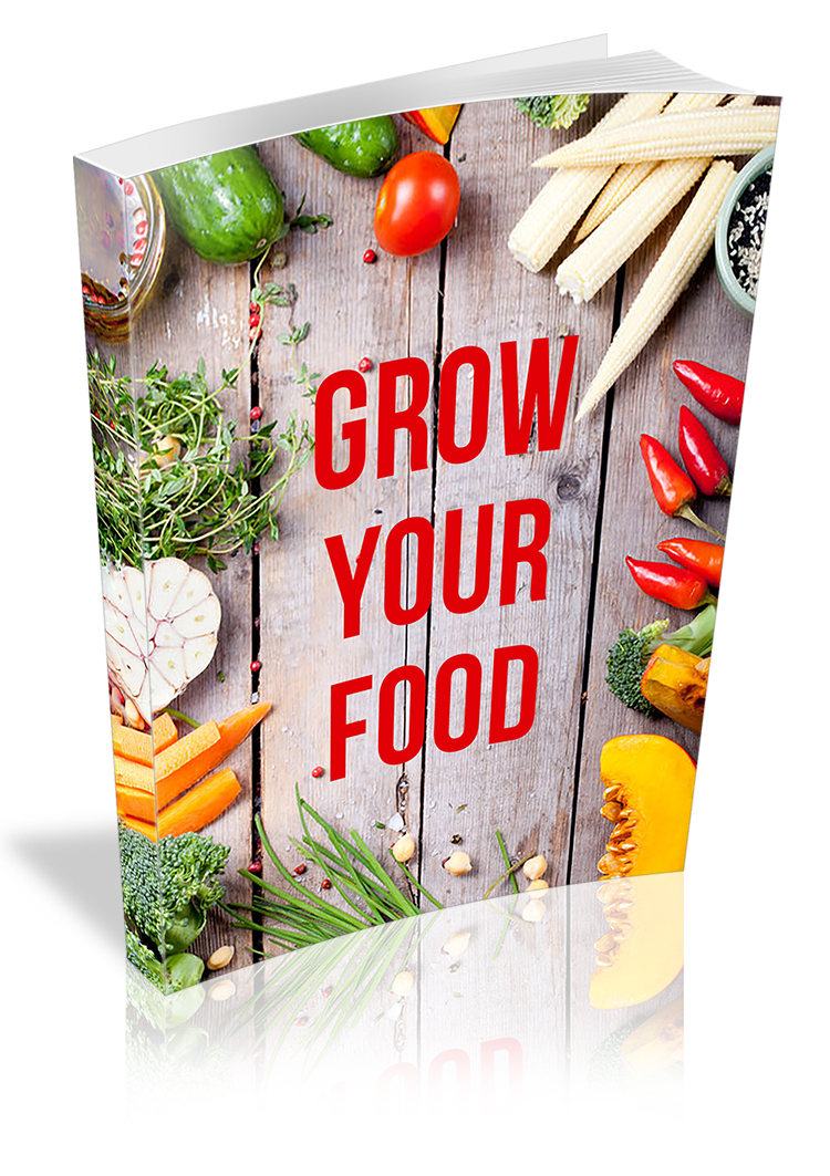 grow-your-food-3D-750