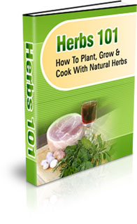 herbs_cover_b